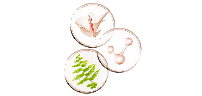 Sothys podkladové make-upy